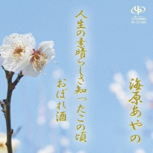AYANO UMIHARA / 海原あやの / 人生の素晴らしさ知ったこの頃/おぼれ酒