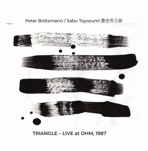 PETER BROTZMANN / ペーター・ブロッツマン / TRIANGLE - LIVE AT OHM, 1987