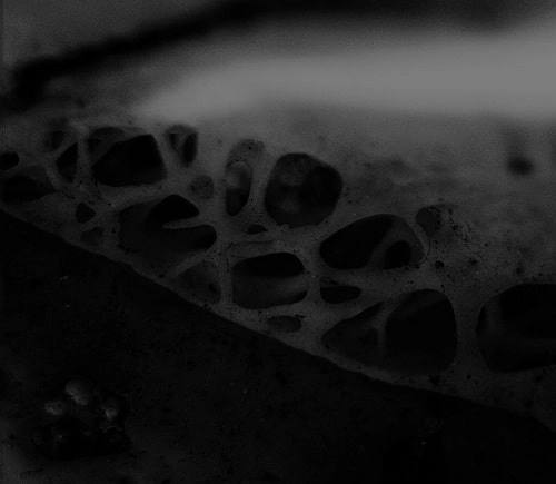 CONTORTUS / コントルツス / TRUTH IS AN UNCURABLE WOUND