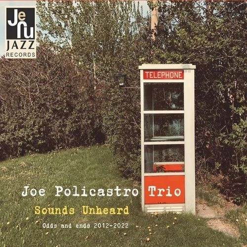 JOE POLICASTRO / SOUNDS UNHEARD