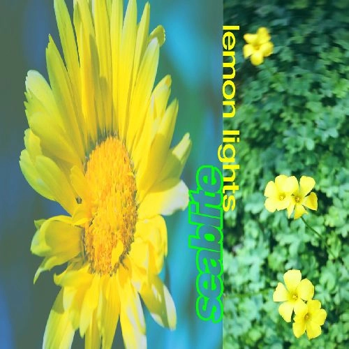 SEABLITE / シーブライト / LEMON LIGHTS (LP)