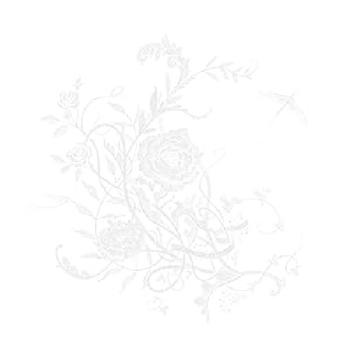 Aimer / 白色蜉蝣