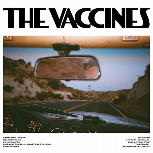 VACCINES / ヴァクシーンズ / PICK-UP FULL OF PINK CARNATIONS (COLOUR VINYL)