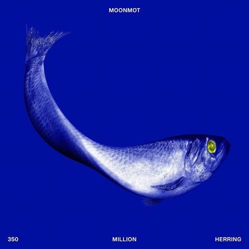 MOONMOT / 350 MILLION HERRING (LP)