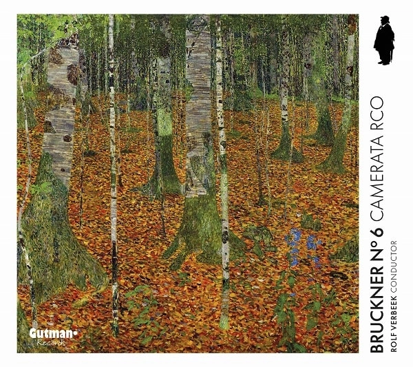 CAMERATA RCO / カメラータRCO / BRUCKNER:SYMPHONY NO.6 (ARRANGEMENT FOR ENSEMBLE) / BRUCKNER:SYMPHONY NO.6 (ARRANGEMENT FOR ENSEMBLE) 