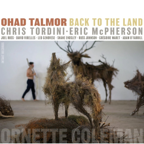 OHAD TALMOR / オハー・タルマー / Back To The Land(2CD)