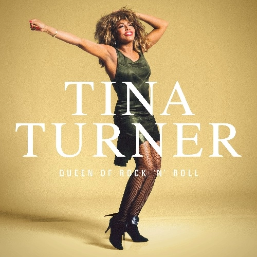 TINA TURNER / ティナ・ターナー / QUEEN OF ROCK 'N' ROLL [VINYL]