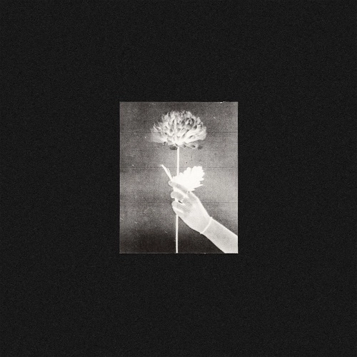 WHITE FLOWERS / DAY BY DAY (DINKED EDITION)