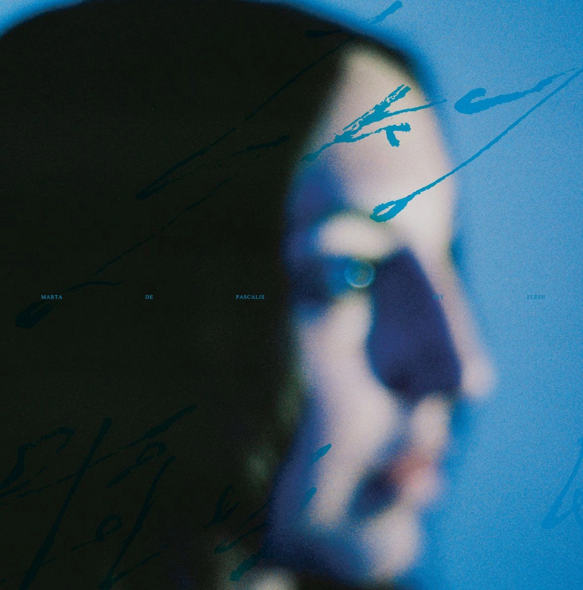 MARTA DE PASCALIS / SKY FLESH (VINYL)