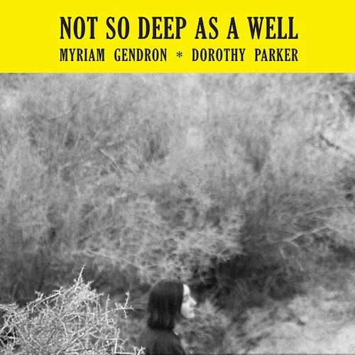 MYRIAM GENDRON / ミリアム・ジャンドロン / NOT SO DEEP AS A WELL (LP)