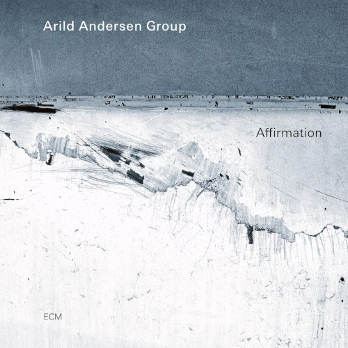 ARILD ANDERSEN / アリルド・アンデルセン / AFFIRMATION (LP)