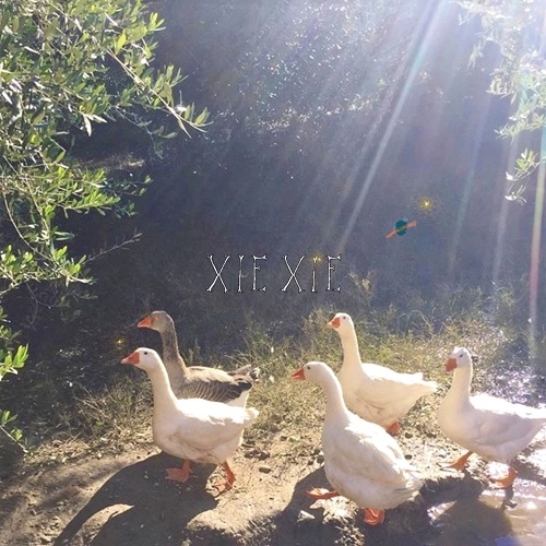 xiexie / XIEXIE / 33