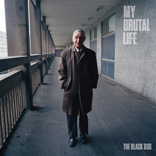 BLACK DOG / ブラック・ドッグ / MY BRUTAL LIFE (CD)