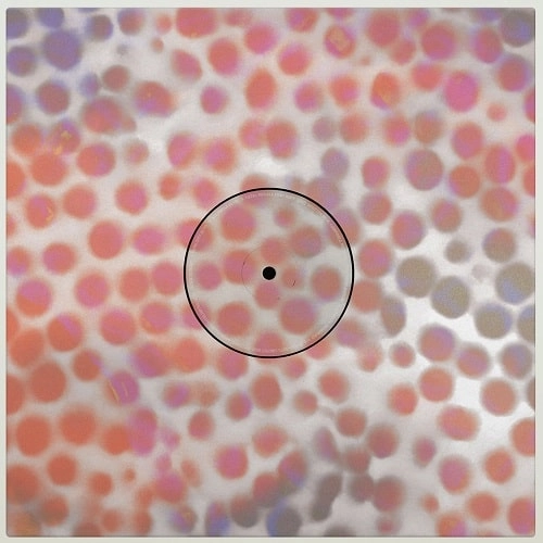 ROZA TERENZI & FURIOUS FRANK / ROZA TERENZI & FURIOUS FRANK LP