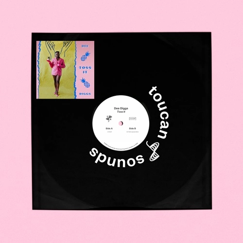 DEE DIGGS / TOSS IT