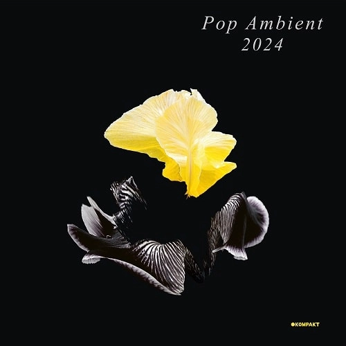 V.A.(POP AMBIENT) / POP AMBIENT 2024 (LP)