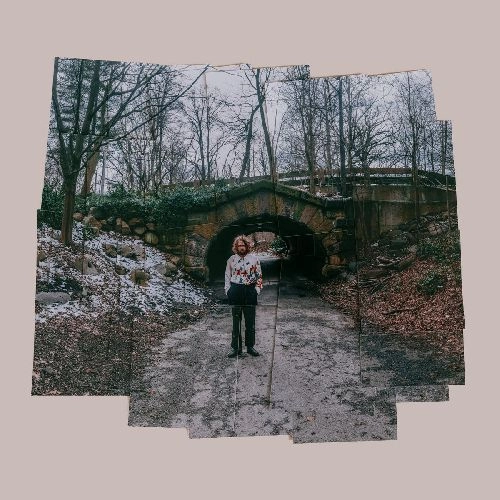 KEVIN MORBY / ケヴィン・モービー / MORE PHOTOGRAPHS (LP)