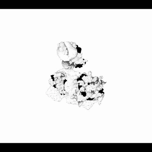 MATT MITCHELL / マット・ミッチェル / CAPACIOUS AERATION
