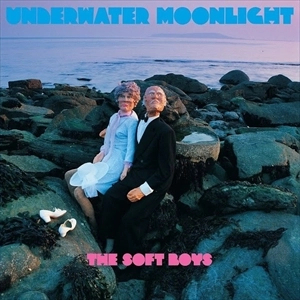 SOFT BOYS / ソフト・ボーイズ / UNDERWATER MOONLIGHT