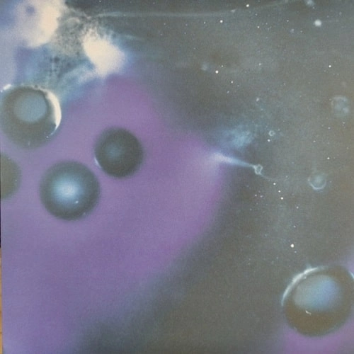 GI GI / SUNCHOKE (LP)