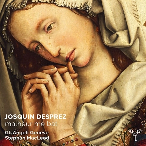 STEPHAN MACLEOD / ステファン・マクラウド / DESPREZ:MALHEUR ME BAT