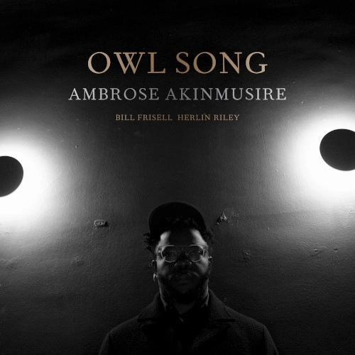 AMBROSE AKINMUSIRE / アンブローズ・アキンムシーレ / OWL SONG