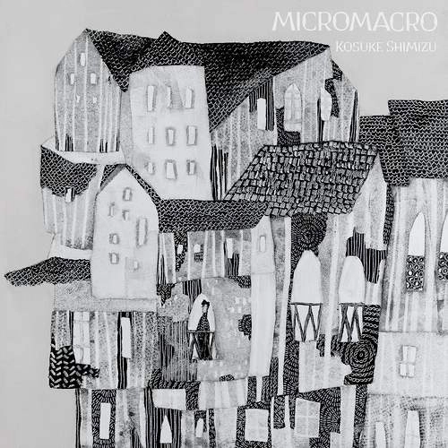 Kosuke Shimizu / 清水恒輔 / MICROMACRO