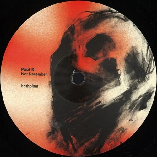 PAUL K / NOT DECEMBER
