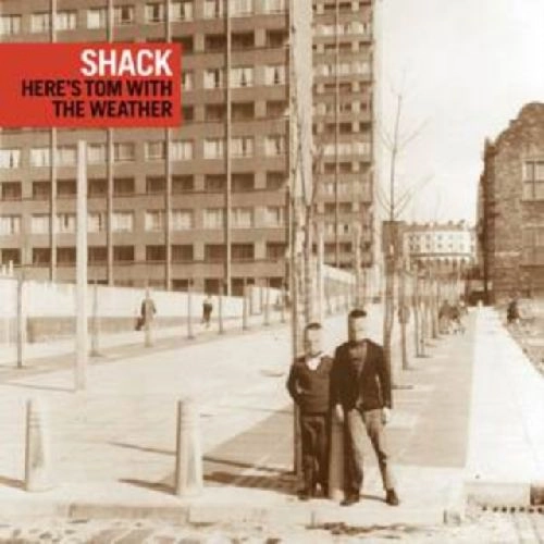 SHACK / シャック / HERE'S TOM WITH THE WEATHER (OXBLOOD COLOUR VINYL)
