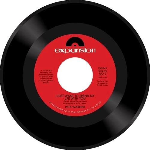 PETE WARNER / I JUST WANT TO SPEND MY LIFE WITH YOU / HANDS