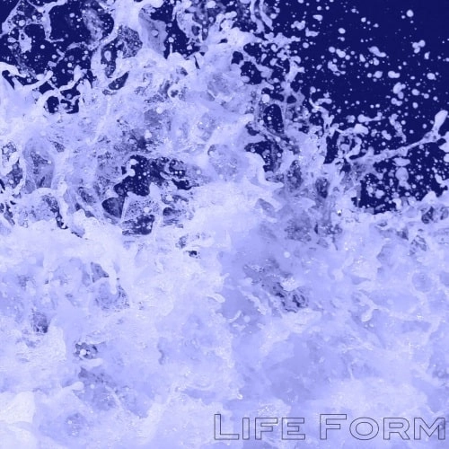 LIFE FORM / COME DOWN / SUMMER'S CHILD