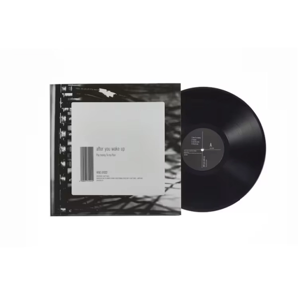 PAY MONEY TO MY PAIN (P.T.P) / ペイ・マネー・トゥー・マイ・ペイン / after you wake up（LP）
