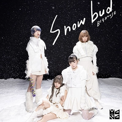 MAPA / Snowbud/BIGHOUSE