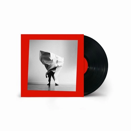 MOTHER MOTHER / マザー・マザー / GRIEF CHAPTER [VINYL]