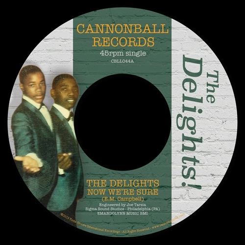 DELIGHTS / NOW WE'RE SURE