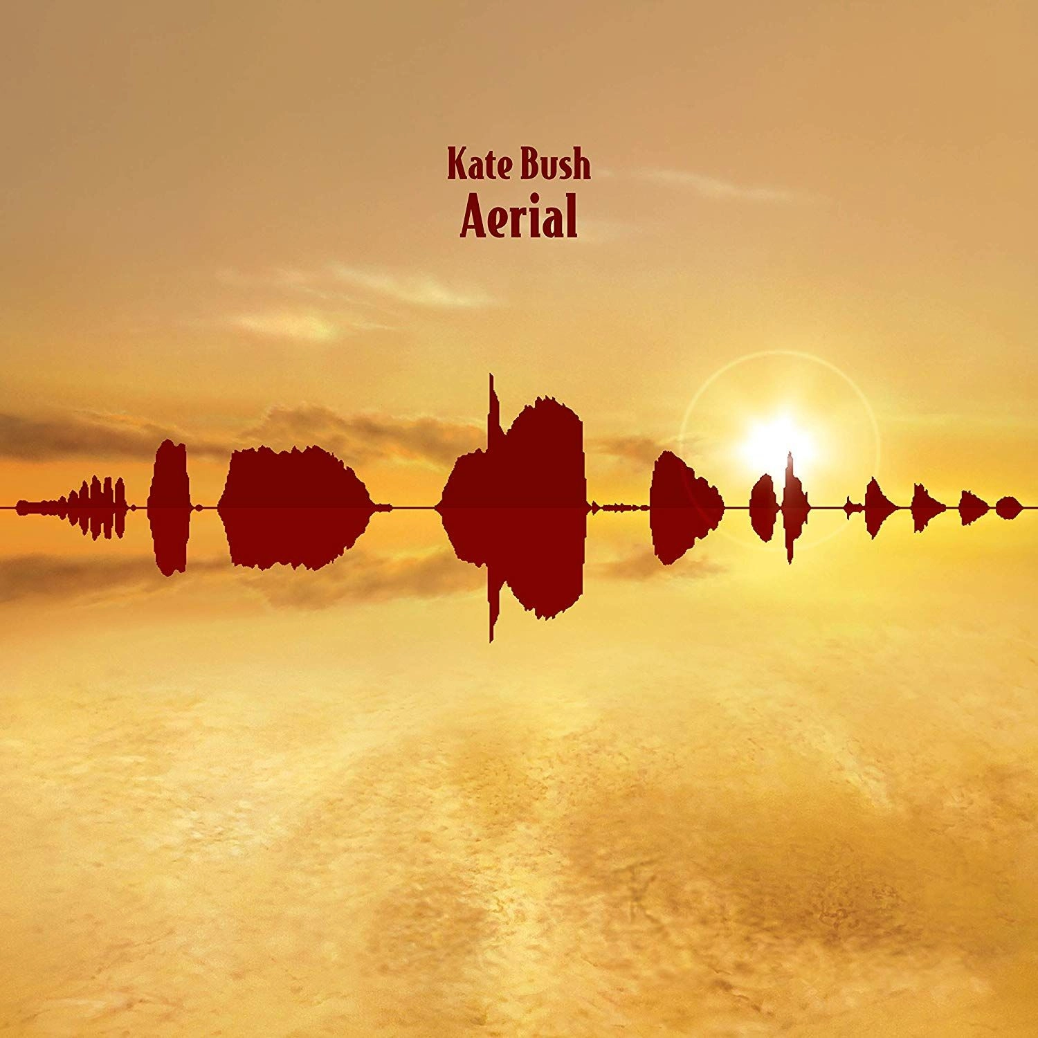 KATE BUSH / ケイト・ブッシュ / AERIAL (2018 REMASTER CD)