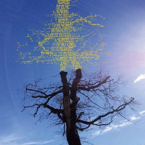 LAETITIA SADIER / レティシア・サディエール / ROOTING FOR LOVE (LP)