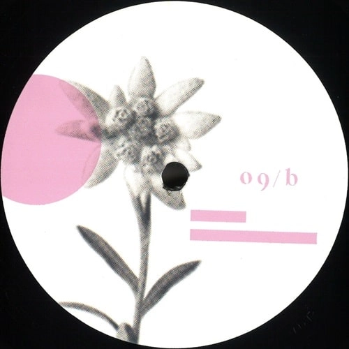 VENDA / OUTER RANGE EP