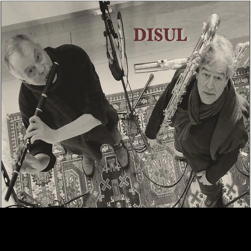 JEAN-MATHIAS PETRI & JEAN-MICHEL VEILLON / DISUL