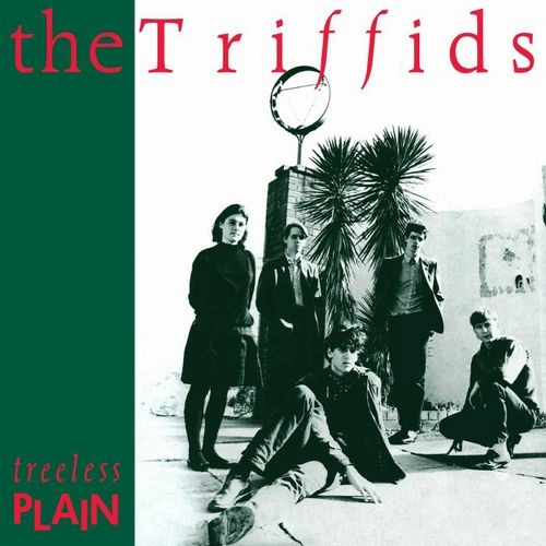 TRIFFIDS / トリフィッズ / TREELESS PLAIN (40TH ANNIVERSARY)