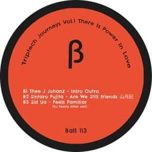 THEE J. JOHANZ / TRIPTECH JOURNEYS VOL.1 THERE IS POWER IN LOVE
