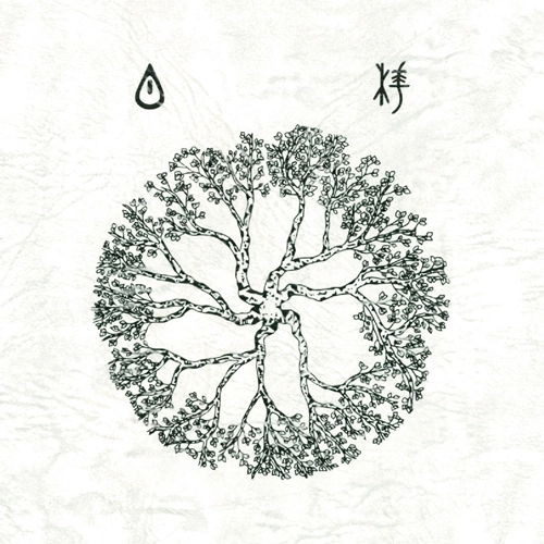 teresahenn / ryokism / 白樺