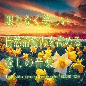 JUNICHI KAMIYAMA / 神山純一 / 限りなく美しい 自然治癒力を高める癒しの音楽