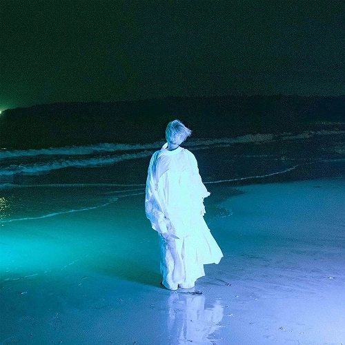 CHIAKI SATO / 佐藤千亜妃 / BUTTERFLY EFFECT（LP）