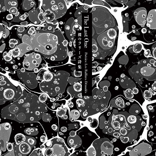 TAKASHI MIZUTANI / 水谷孝 / The Last One〈Poesies : Les Rallizes Denudes〉裸のラリーズ詩集