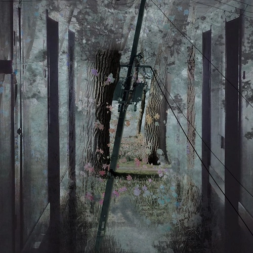 A To Fade In / 瞼の裏