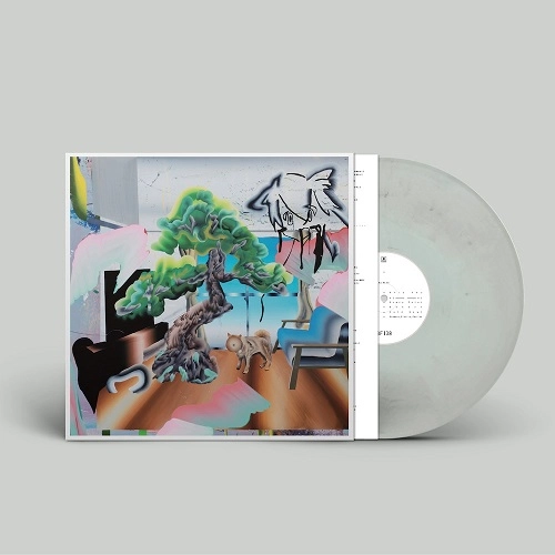 HAKUSHI HASEGAWA / 長谷川白紙 / エアにに (LP) / AIR NI NI (GRAY MARBLED VINYL)