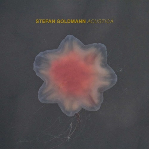STEFAN GOLDMANN / ステファン・ゴールドマン / ACUSTICA（国内盤仕様CD）