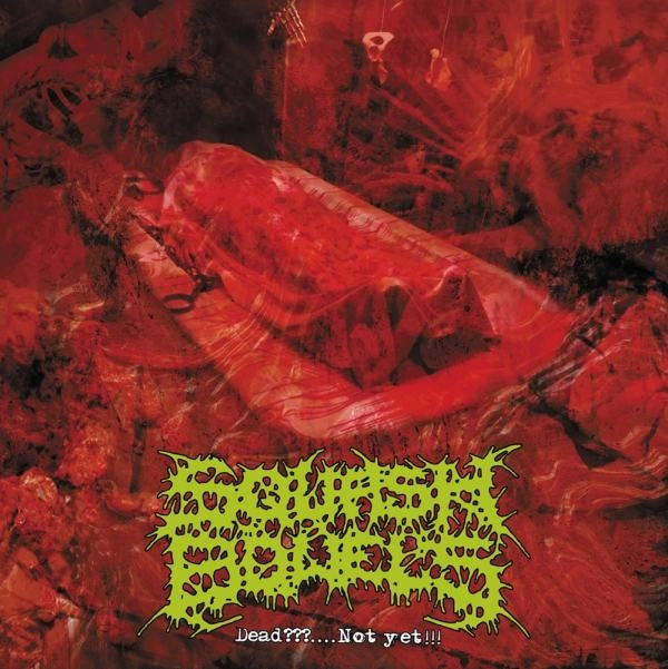 SQUASH BOWELS / スカッシュ・バウアルズ / デッド？....ノット･イェット!!! / Dead?....Not Yet!!!