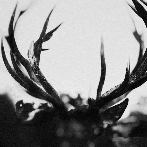 IHSAHN / イーサーン / IHSAHN<COLOURED VINYL> / IHSAHN
